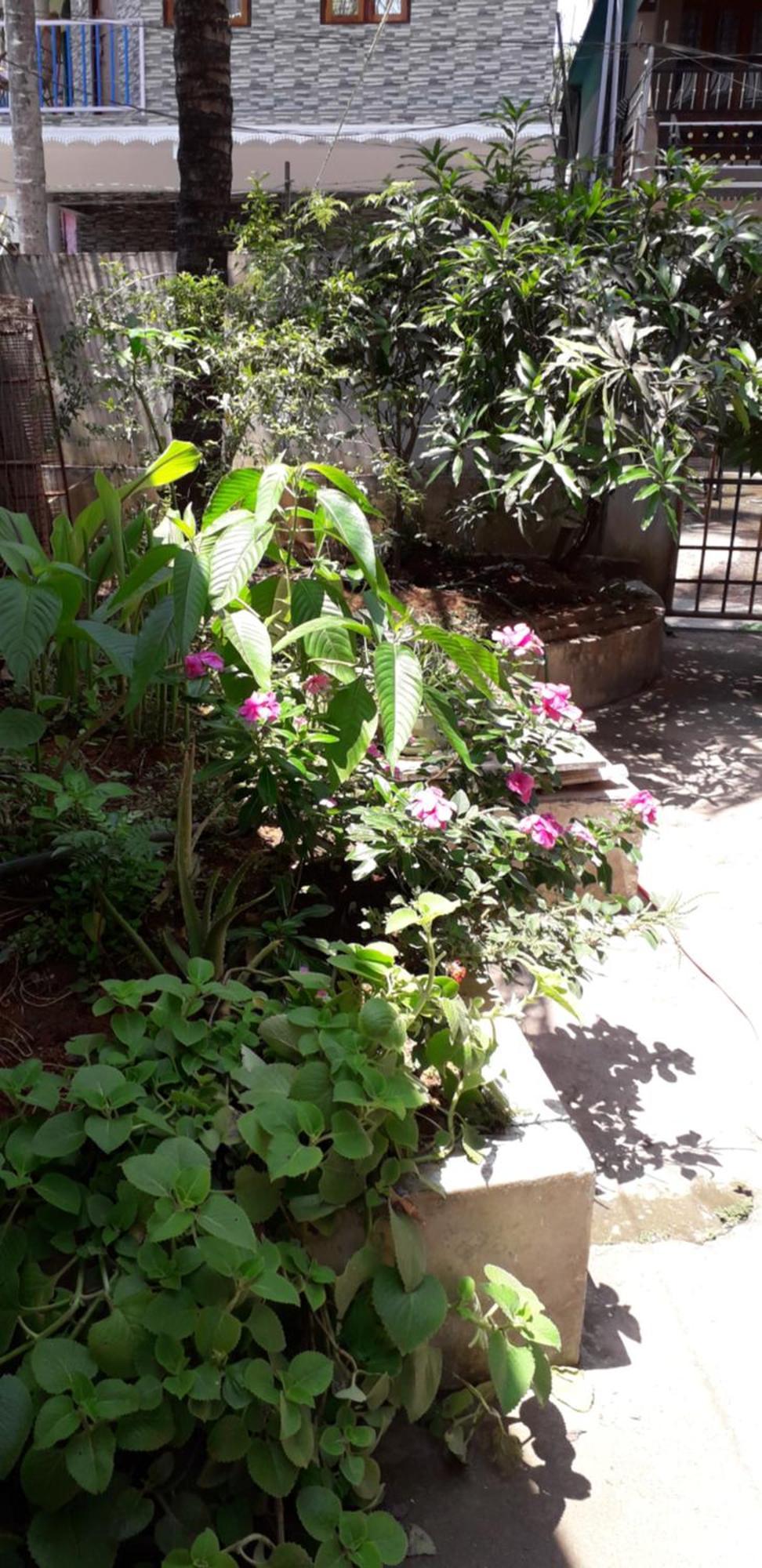 Spice Cottage Homestay Thekkady Eksteriør bilde